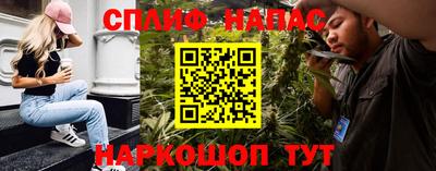 ешки Новозыбков
