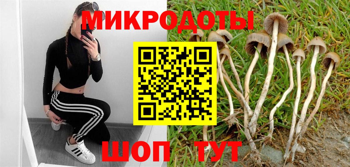 Псилоцибиновые грибы GOLDEN TEACHER  Вход с VPN  Саров  Галлюциногенные грибы мухоморы 